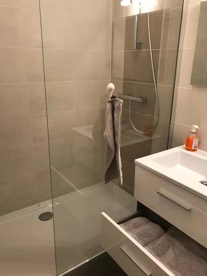 Appart Meuble Bourgoin Apartment