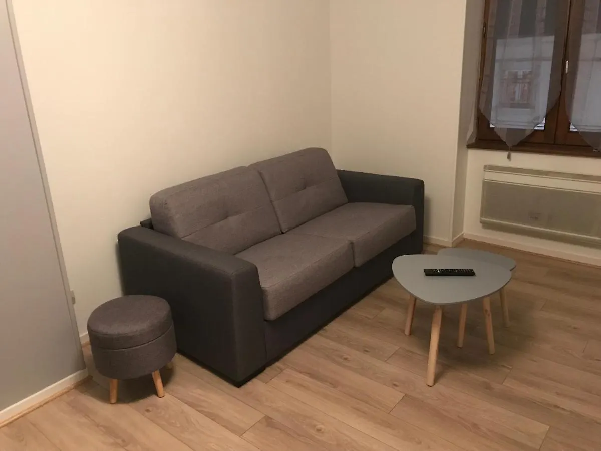 Appart Meuble Bourgoin Apartment France